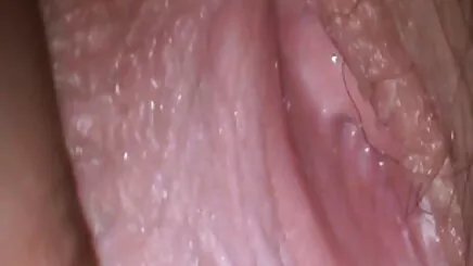Profesyonel turkpornofilmleri