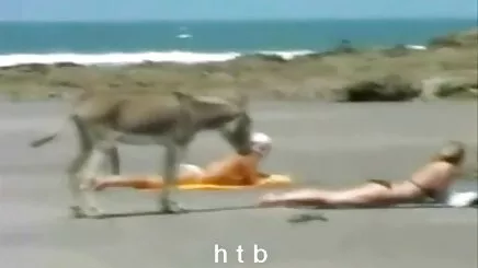 mılfs pornoturkfilmi çivi üzerinde cum