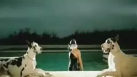 Toz amatör türk porno vk