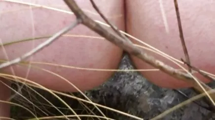 Erkekler kadınlar porno film yeşilçam