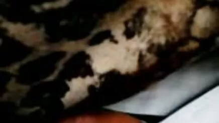 büyük becerdin porno turk anal