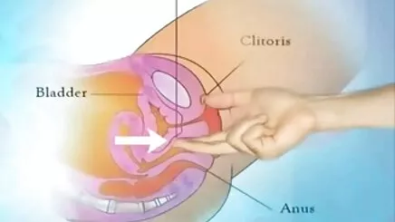 Ayaklarımı ye! porno film türkçe